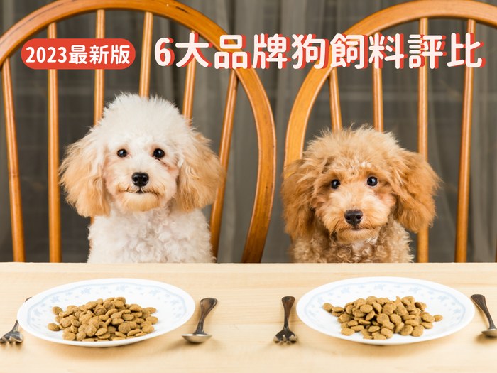 2023最新版|狗狗飼料推薦6大高人氣品牌評比