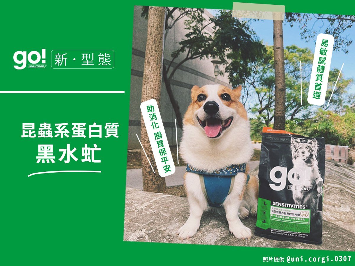 一口萌翻你，愛上毛孩界的未來肉「黑水虻」