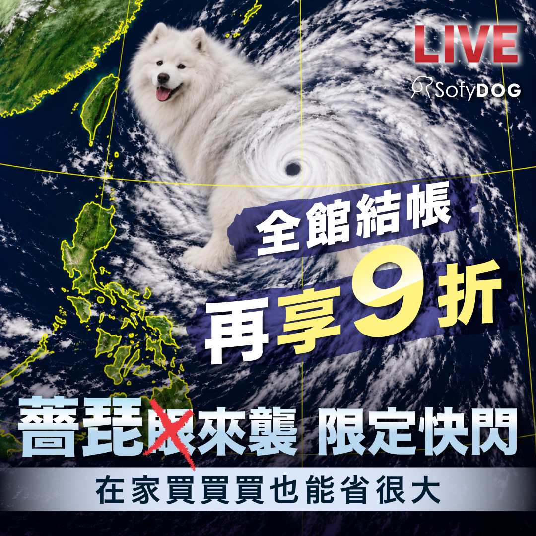 【颱風限定快閃｜全館結帳享 9 折】