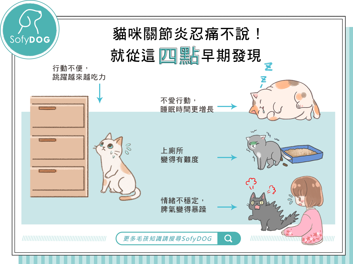 貓咪關節炎忍痛不說！就從這四點早期發現
