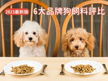 2023最新版｜狗狗飼料推薦6大高人氣品牌評比