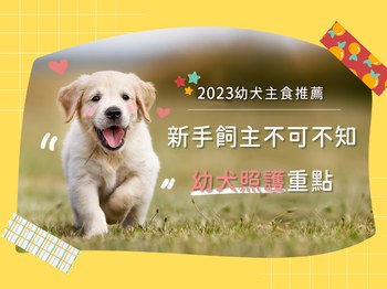 2023幼犬主食推薦｜新手飼主不可不知的幼犬照護重點