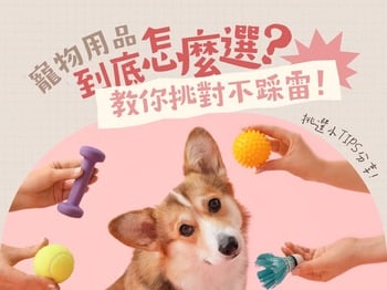 寵物用品推薦！教你挑對不踩雷！挑選小TIPS分享！