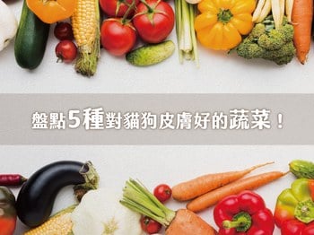 盤點5種對貓狗皮膚好的蔬菜！