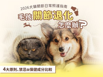 毛孩關節退化怎麼辦？2026 犬貓關節日常照護指南：4大原則、禁忌與保健成分比較