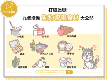打破迷思！九個增進狗狗營養食材大公開