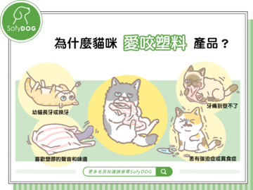 為什麼貓咪愛咬塑料產品？