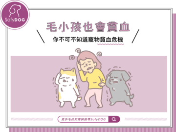 毛孩也會貧血！ 你不可不知道寵物貧血危機
