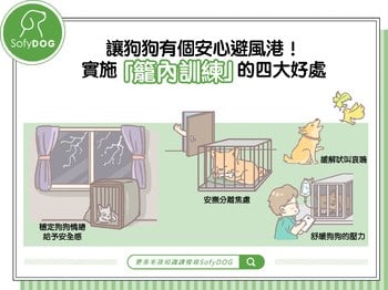 籠內訓練！讓狗狗有個安心避風港