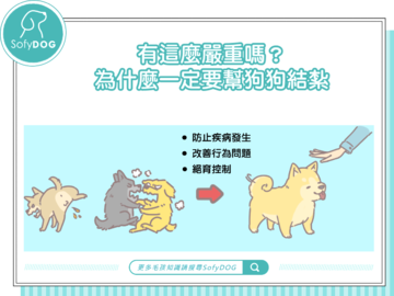 有這麼嚴重嗎？為什麼一定要幫狗狗結紮