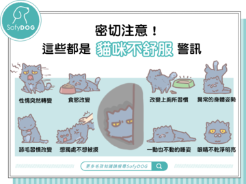 密切注意！這些都是貓咪不舒服警訊