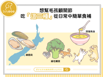 2025狗關節保養品推薦：挑選4大關鍵要點，日常飲食也不可忽略！