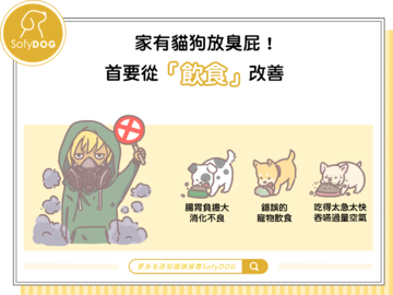 家有貓狗放臭屁！首要從「飲食法」改善