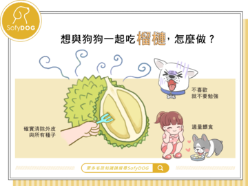 想與狗狗一起吃榴槤，怎麼做？
