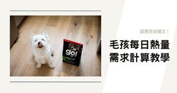 超實用收藏文！毛孩每日熱量需求計算教學！