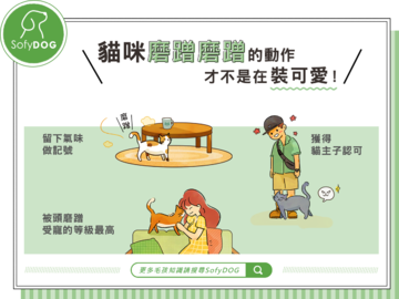 貓咪磨蹭磨蹭的動作，才不是在裝可愛！