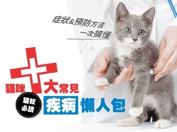 貓奴必讀：貓咪十大常見疾病懶人包，症狀&預防方法一次搞懂！