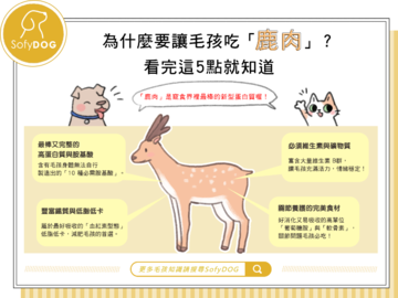 為什麼要讓毛孩吃「鹿肉」？ 看完這5點就知道