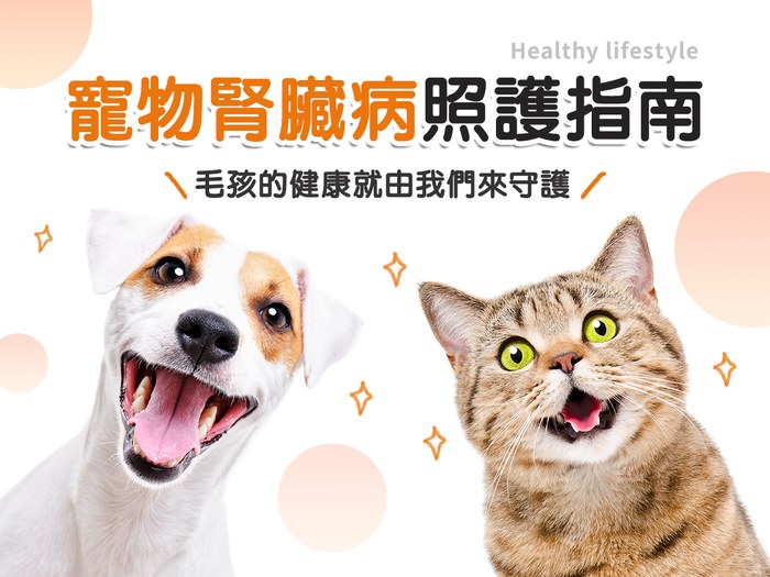 貓狗腎臟病照護指南