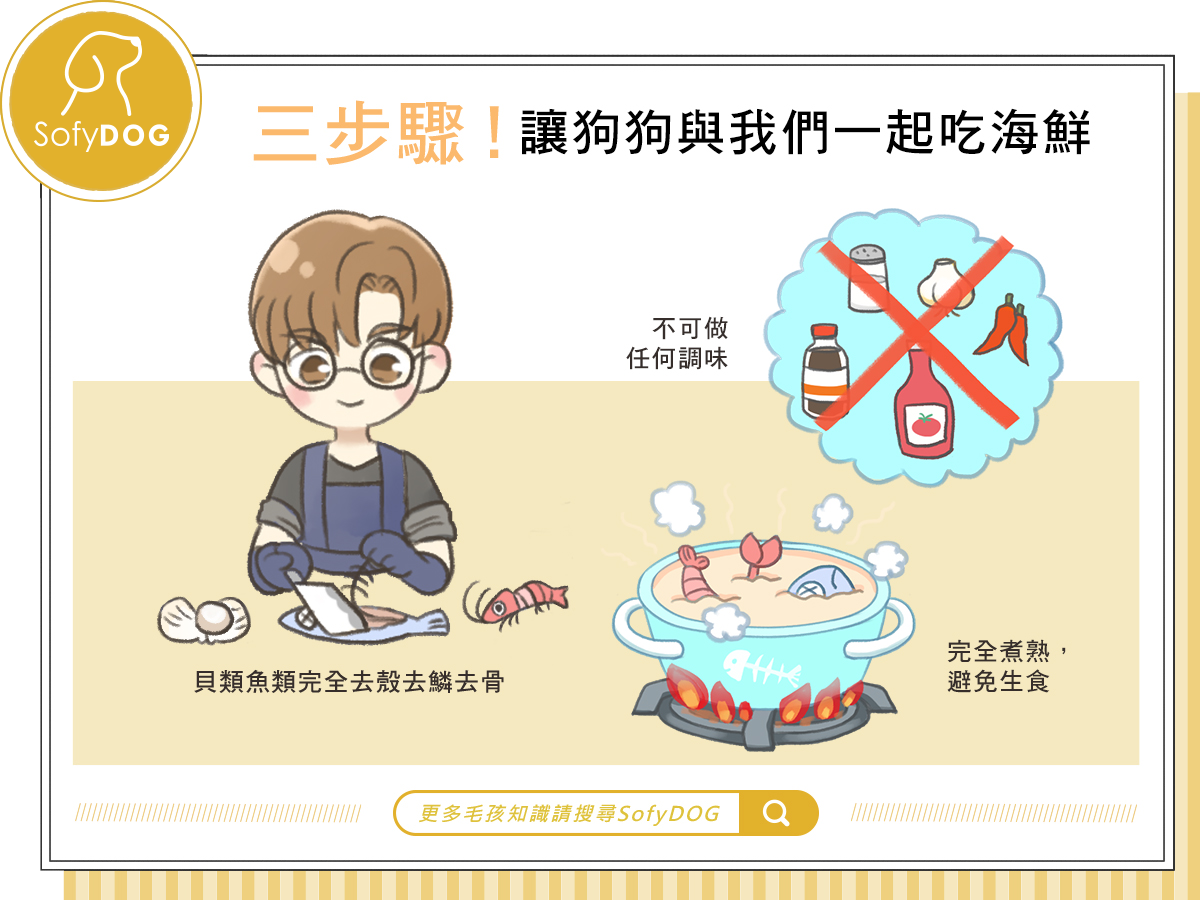 三步驟！讓狗狗與我們一起吃海鮮