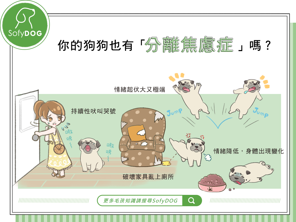 你的狗狗也有「分離焦慮症」嗎？