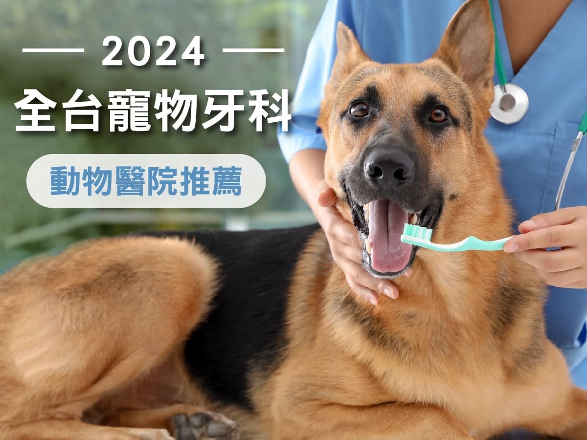 全台寵物牙科動物醫院推薦