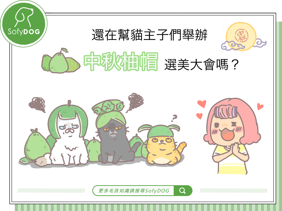 還在幫毛孩舉辦「中秋柚帽」選美大會嗎？