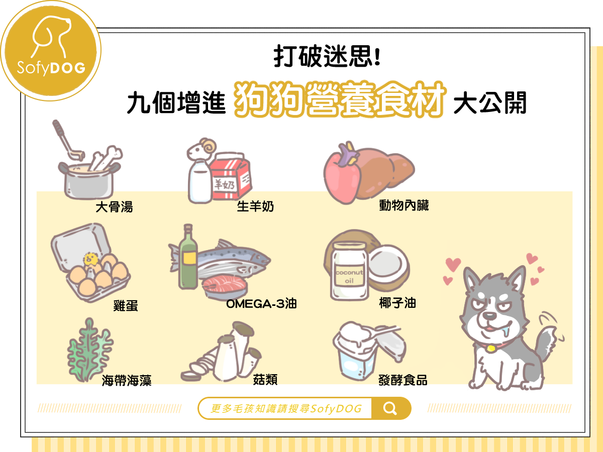 打破迷思！九個增進狗狗營養食材大公開