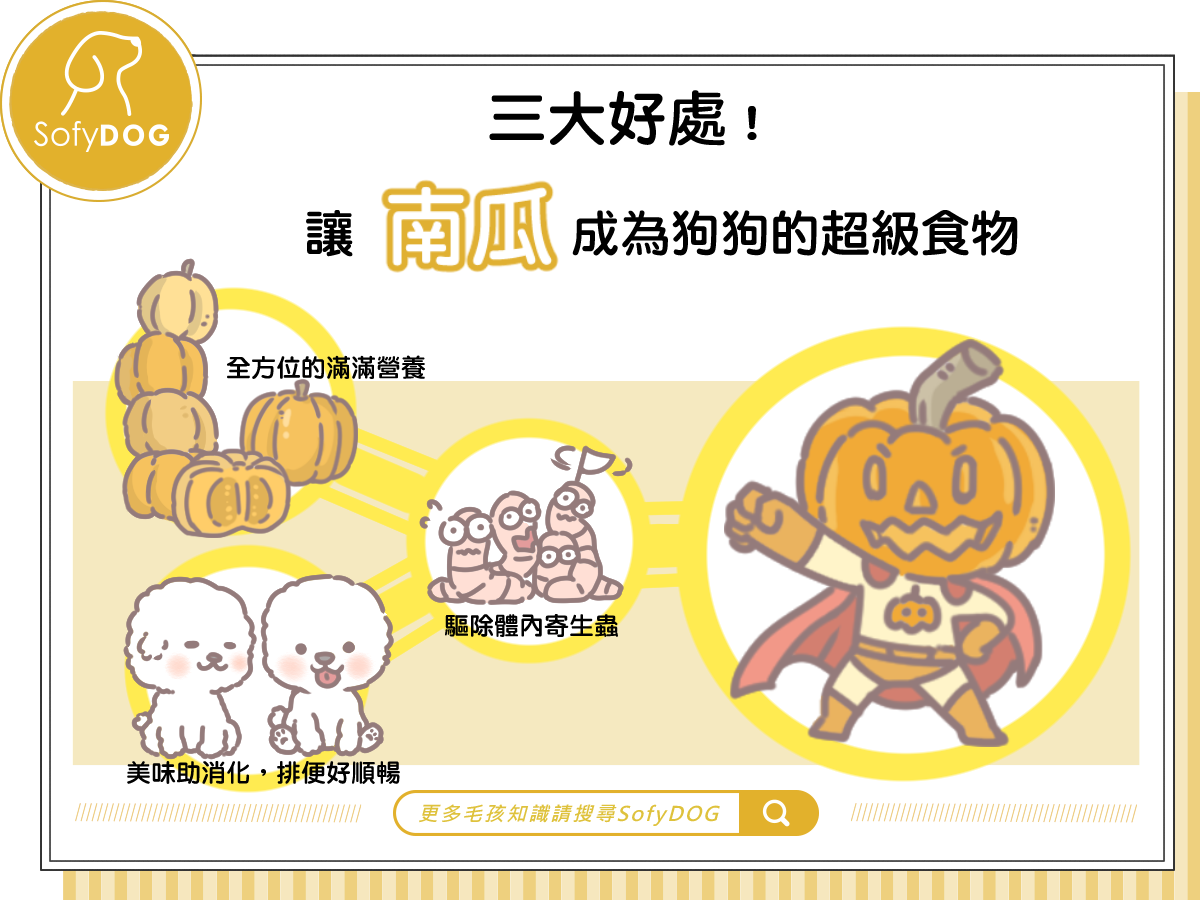 三大好處！讓南瓜成為狗狗的超級食物