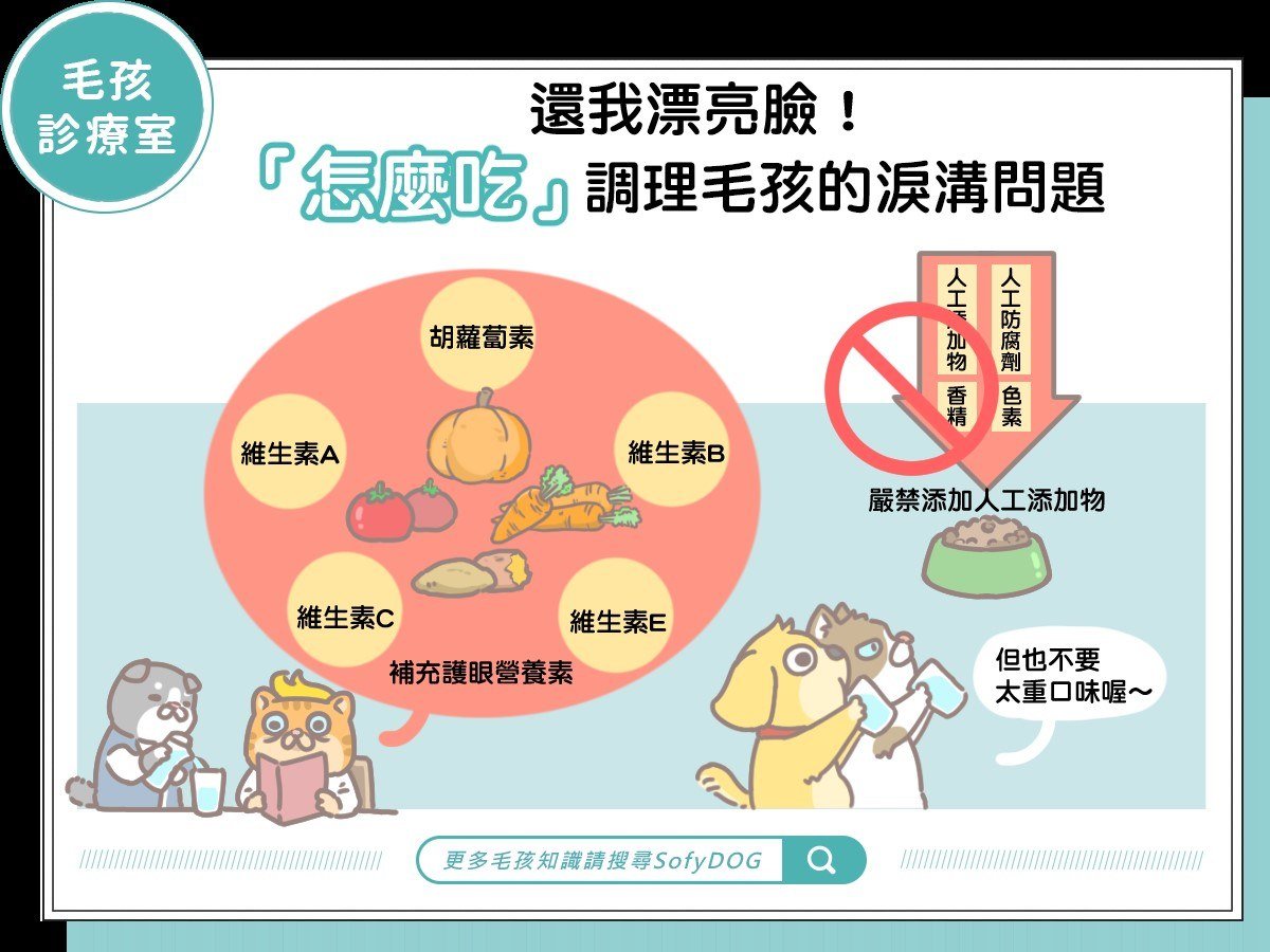 還我漂亮臉！「怎麼吃」改變毛孩的淚溝問題