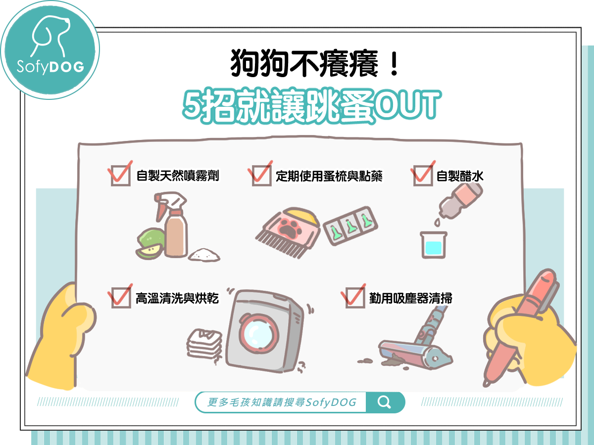 狗狗不癢癢！5招就讓跳蚤OUT