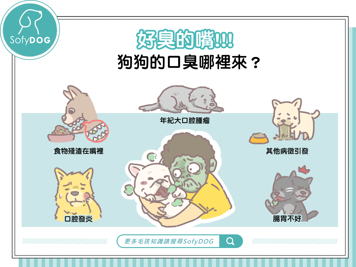 好臭的嘴！！！貓狗的口臭哪裡來？