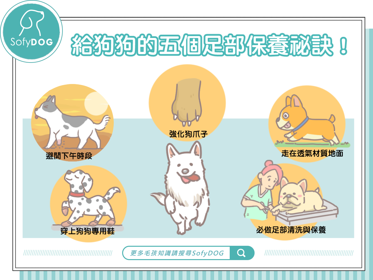 給狗狗的五個足部保養秘訣！