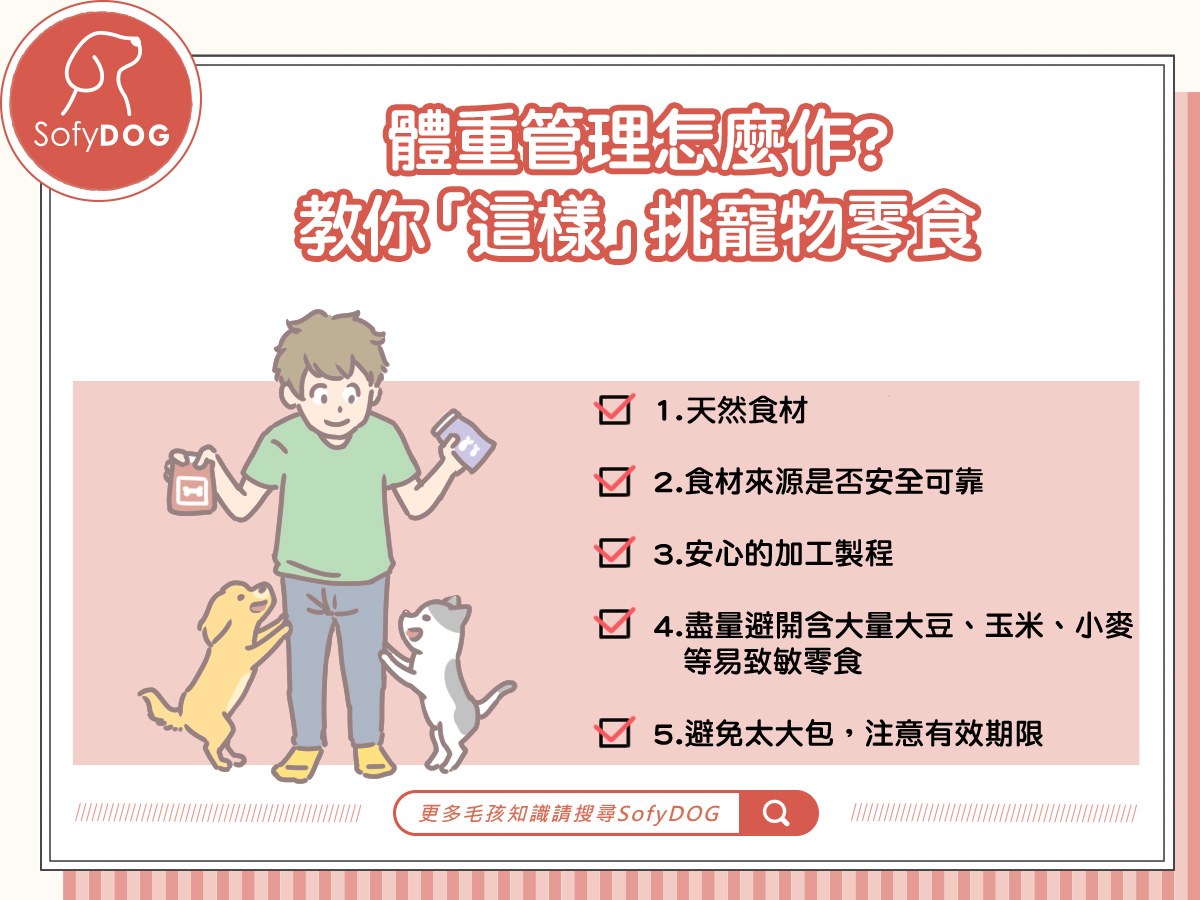 體重管理怎麼作？教你「這樣」挑寵物零食