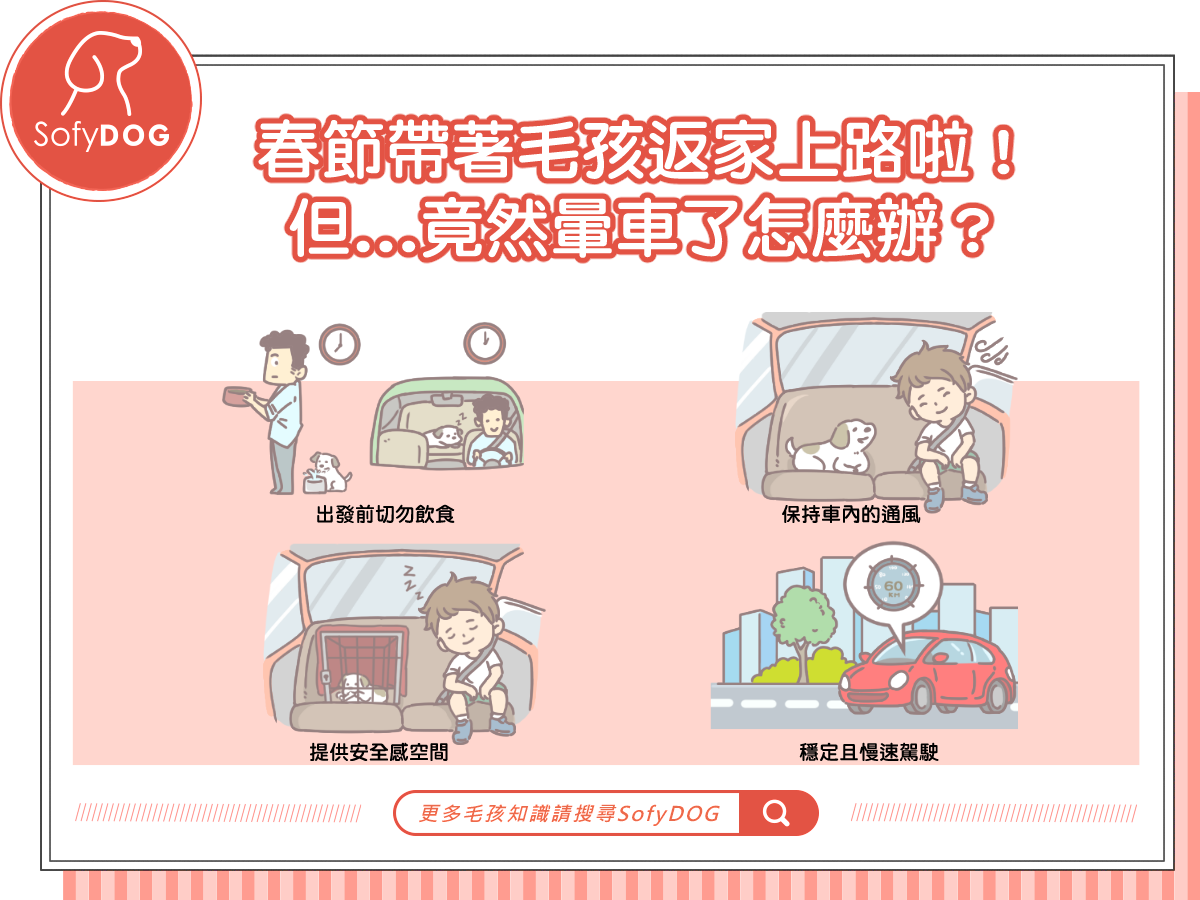 春節帶著毛孩返家上路啦！但...竟然暈車了怎麼辦？