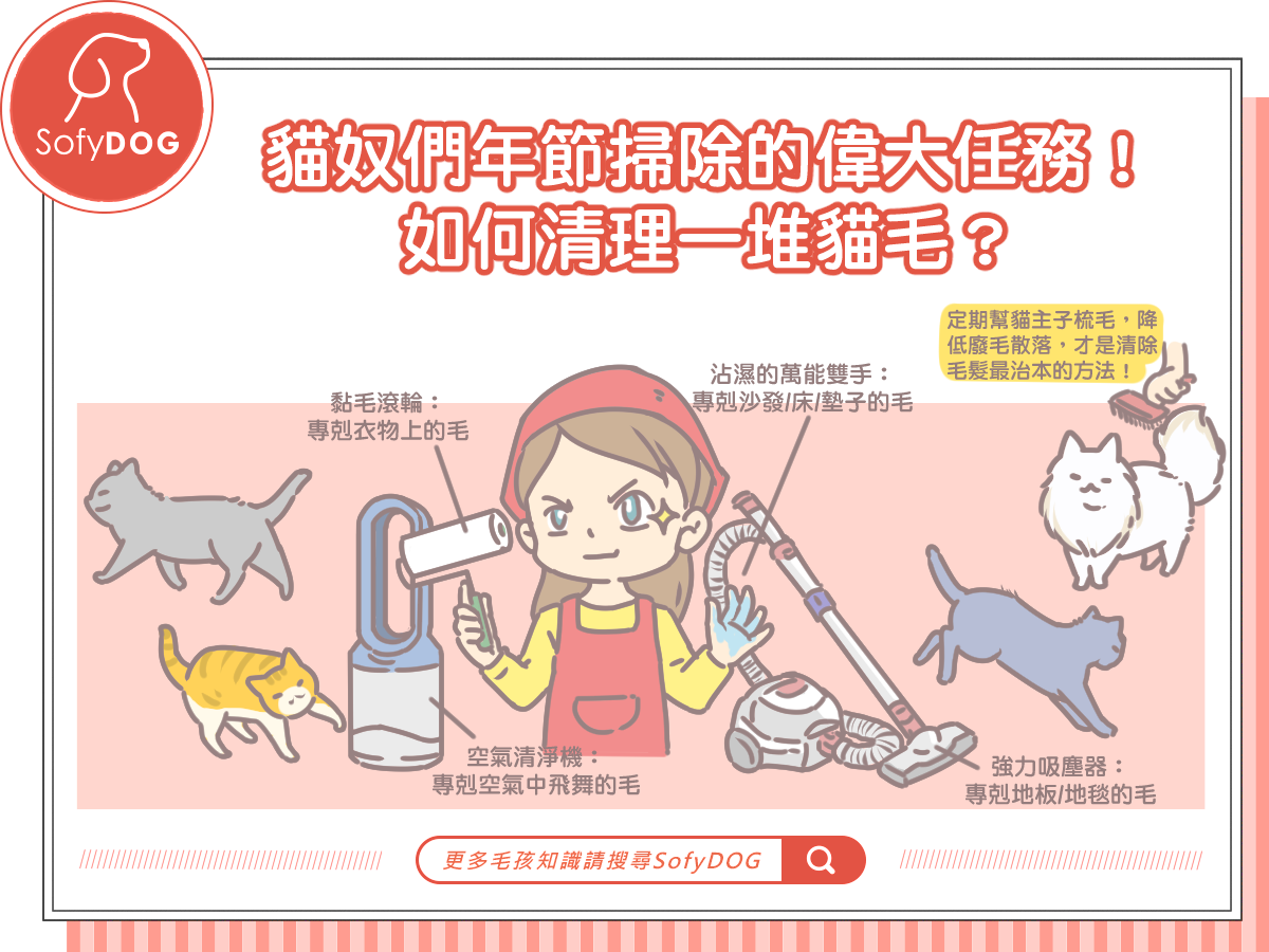 貓奴們年節掃除的偉大任務！如何清理一堆貓毛？