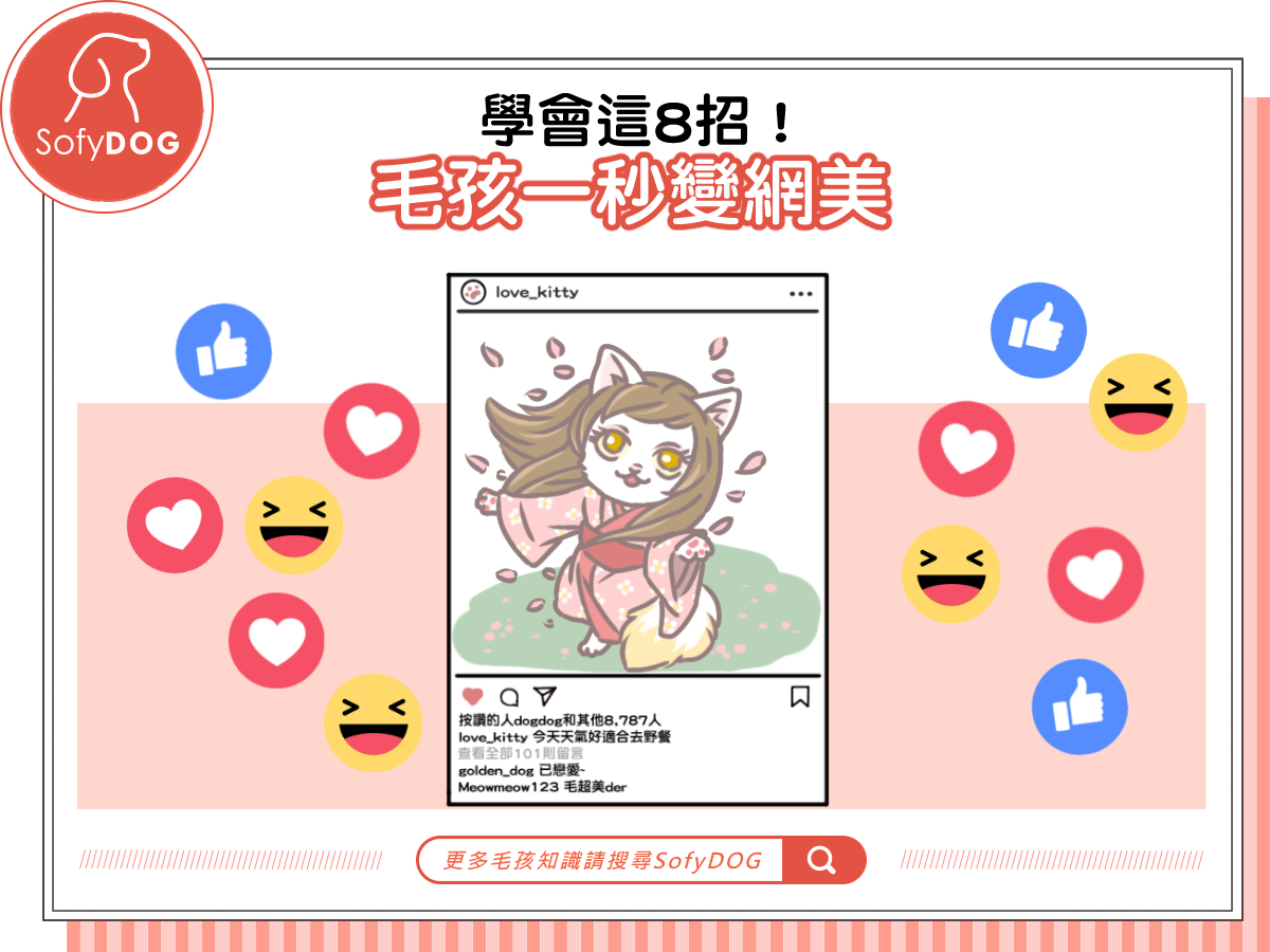 學會這８個小技巧，讓毛孩一秒變網美！