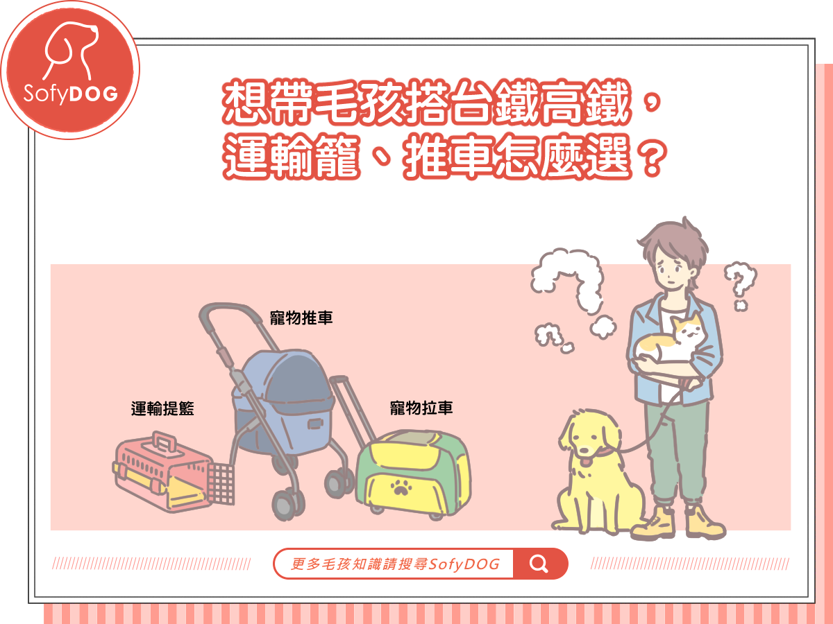 想帶毛孩搭台鐵高鐵,運輸籠、推車怎麼選?