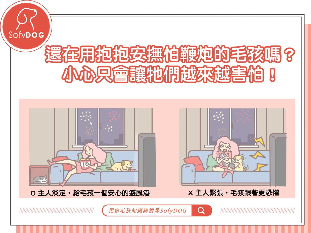 還在用抱抱安撫怕鞭炮的毛孩嗎？小心只會讓他們越來越害怕！