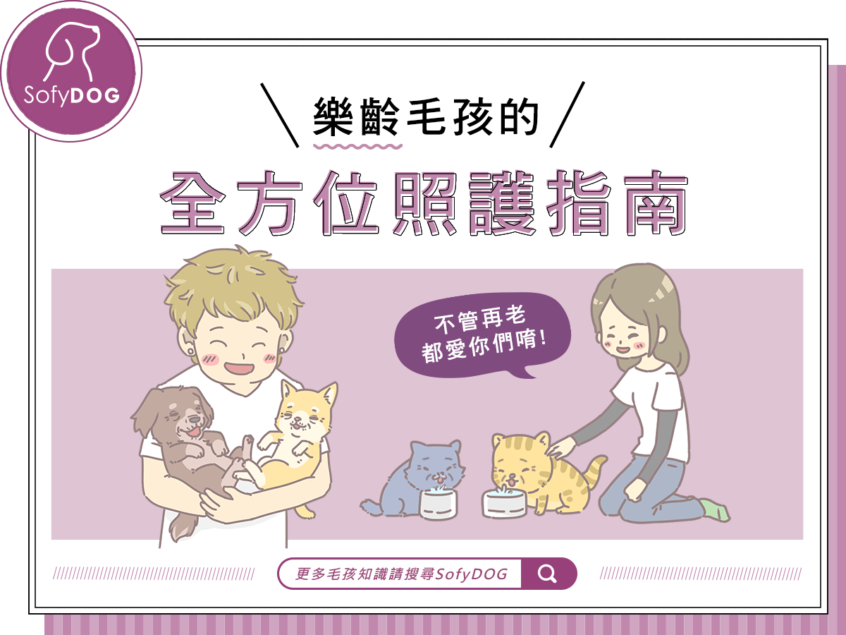 樂齡毛孩的全方位照護指南