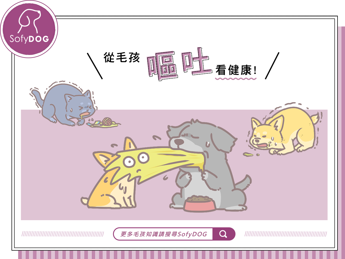 從毛孩嘔吐看健康！