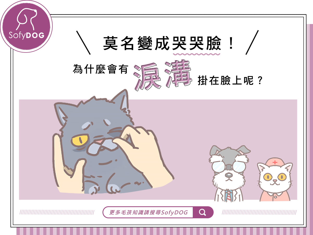 莫名變成哭哭臉！為什麼會有淚溝掛在臉上呢？