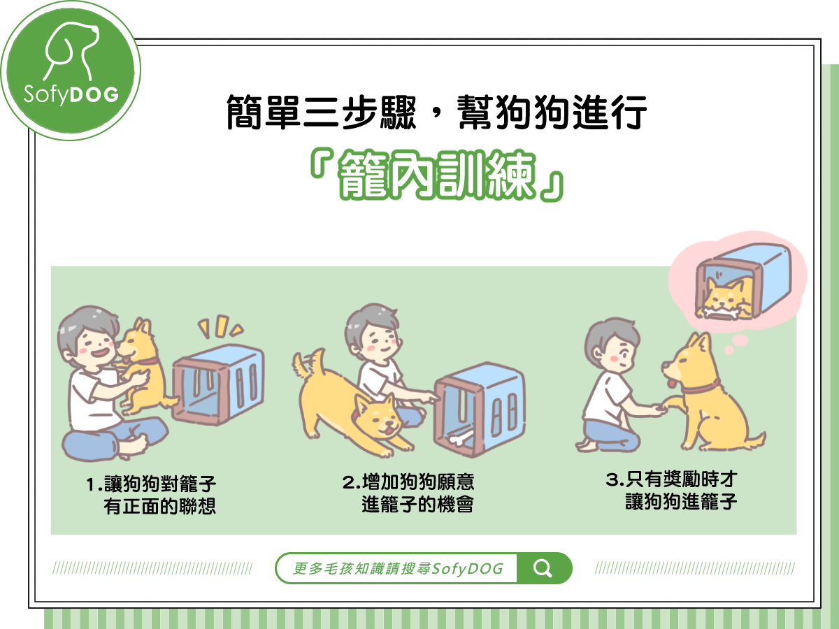 簡單三步驟，幫狗狗進行「籠內訓練」!