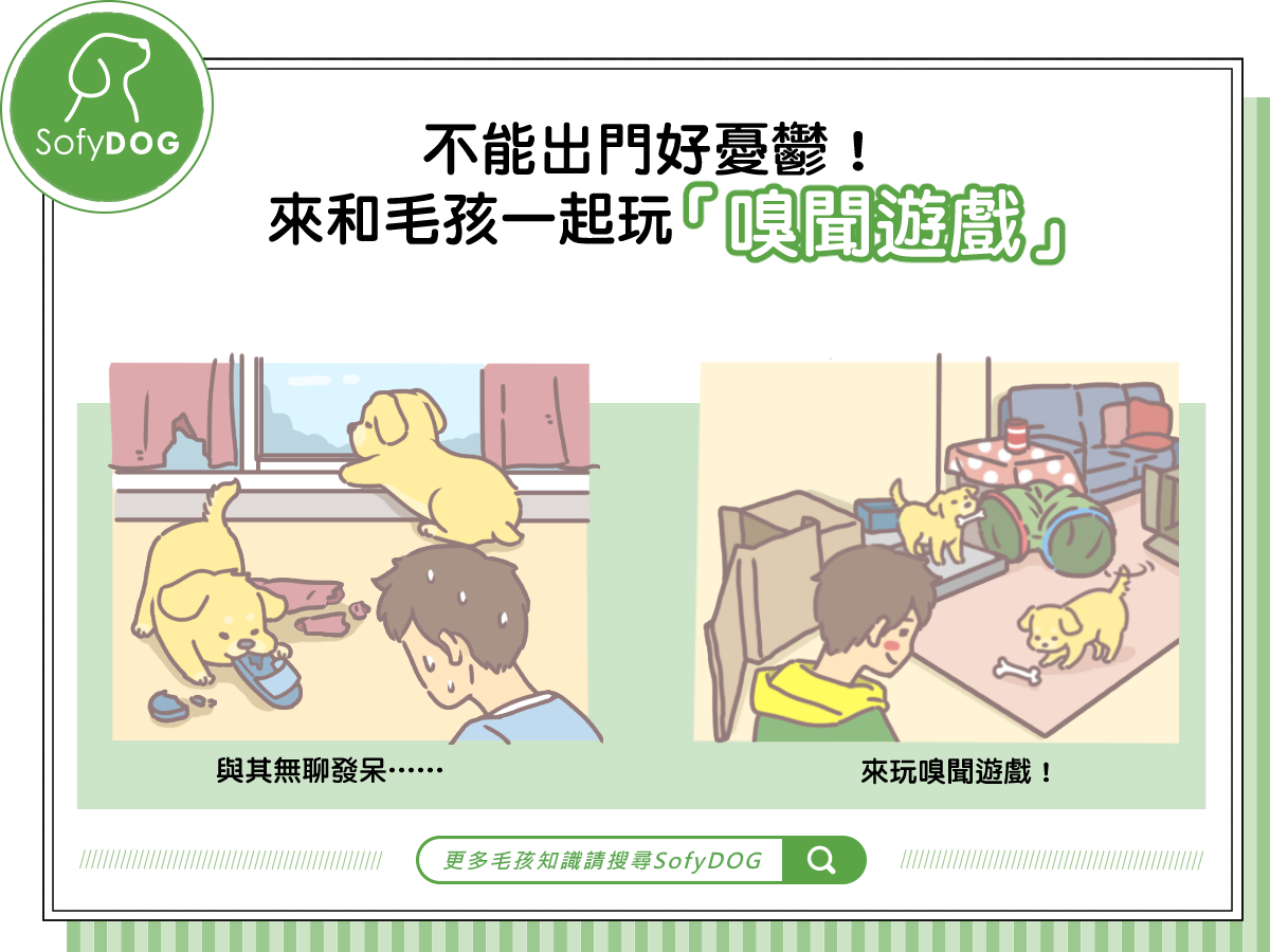 下雨天好憂鬱？和毛孩一起玩「嗅聞遊戲」！