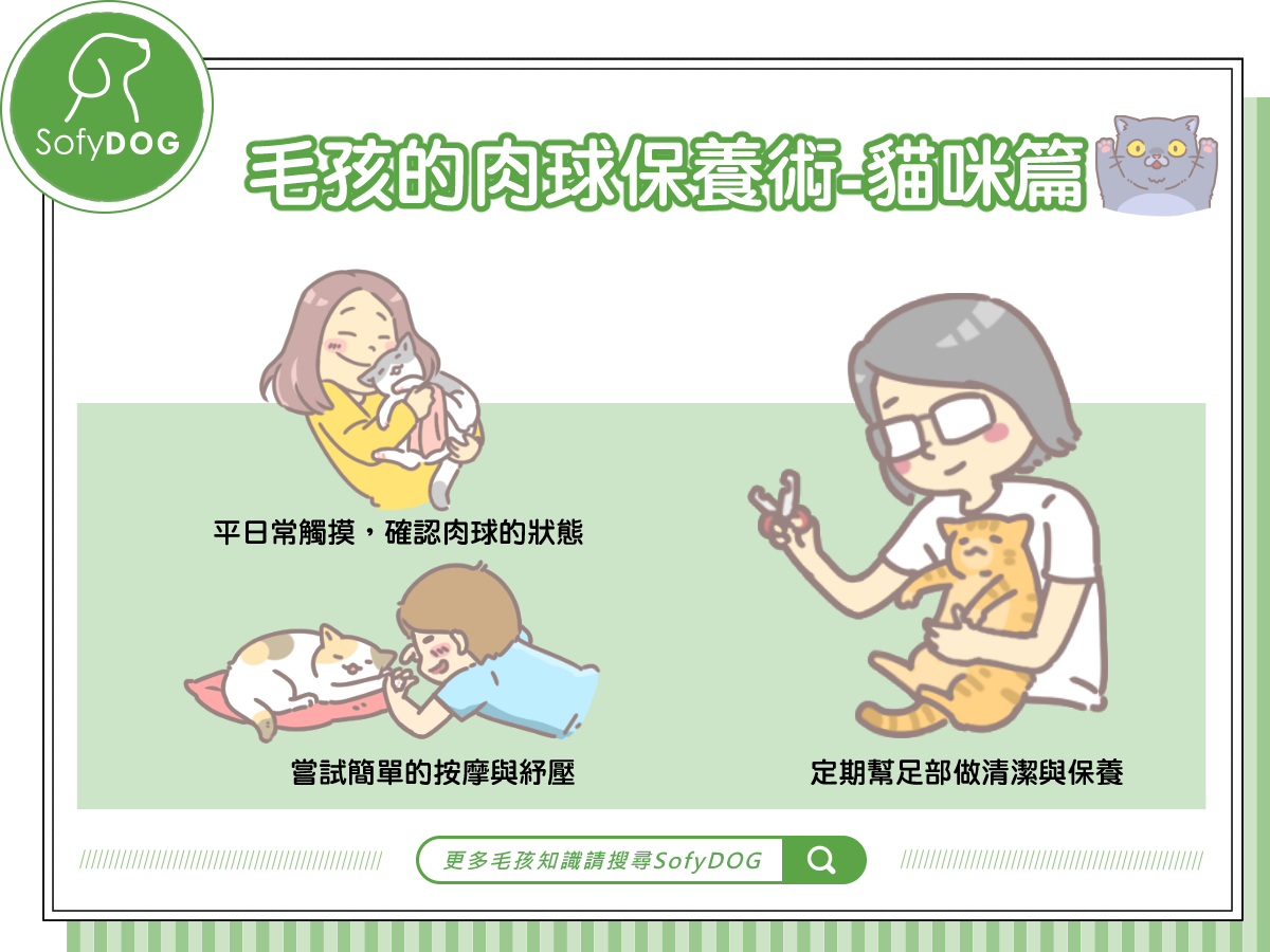 毛孩的肉球保養術-貓咪篇