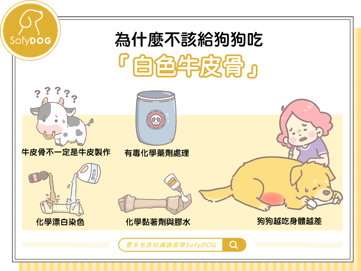 為什麼不該給狗狗吃「白色牛皮骨」？