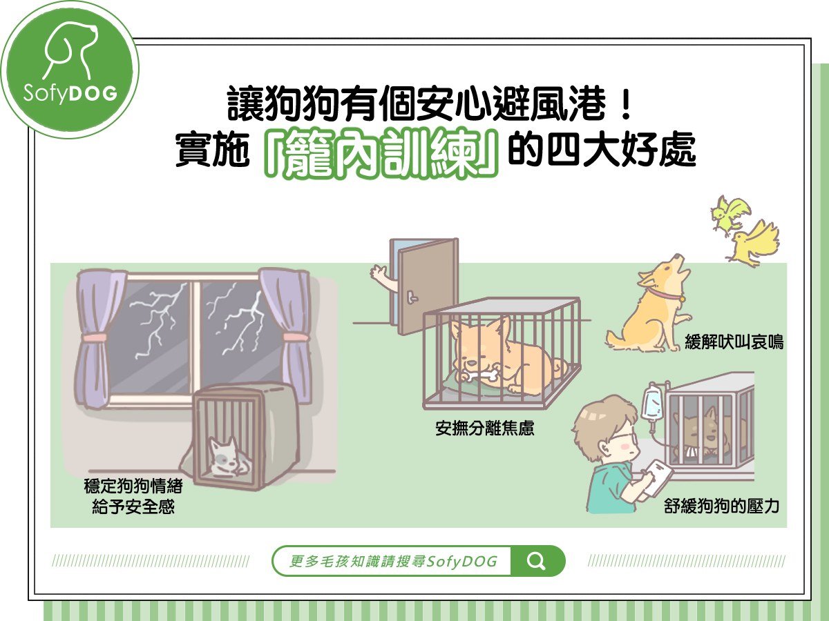 籠內訓練！讓狗狗有個安心避風港