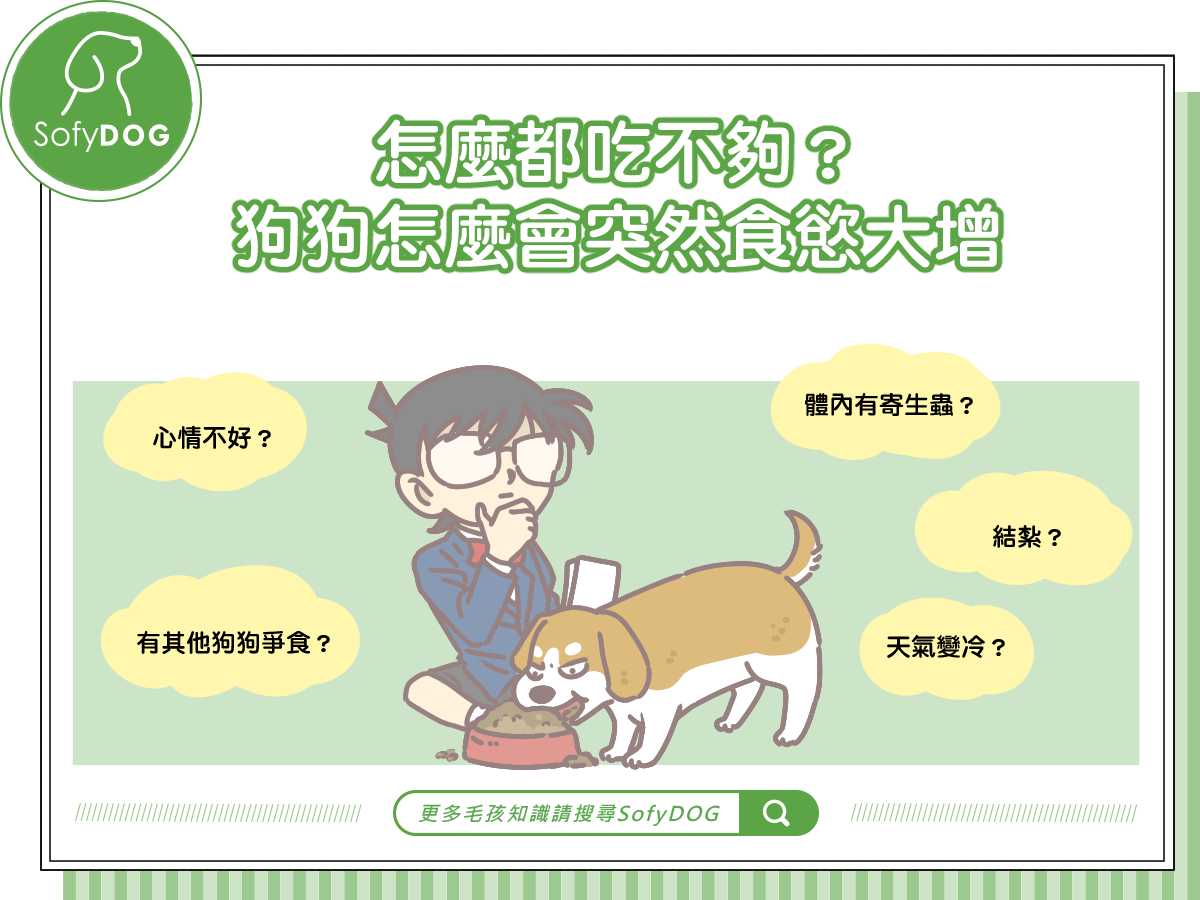 怎麼都吃不夠？狗狗怎麼會突然食慾大增