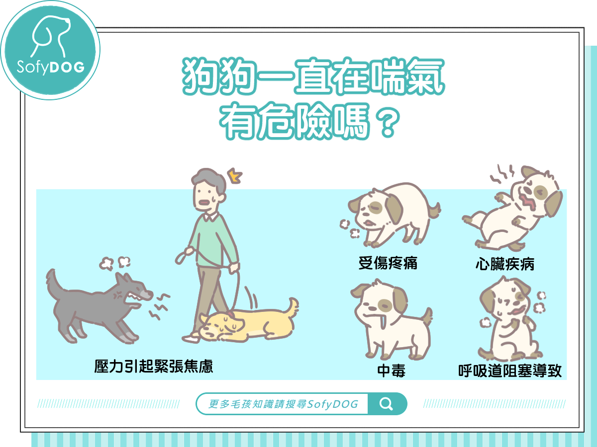 狗狗一直在喘氣，有危險嗎？