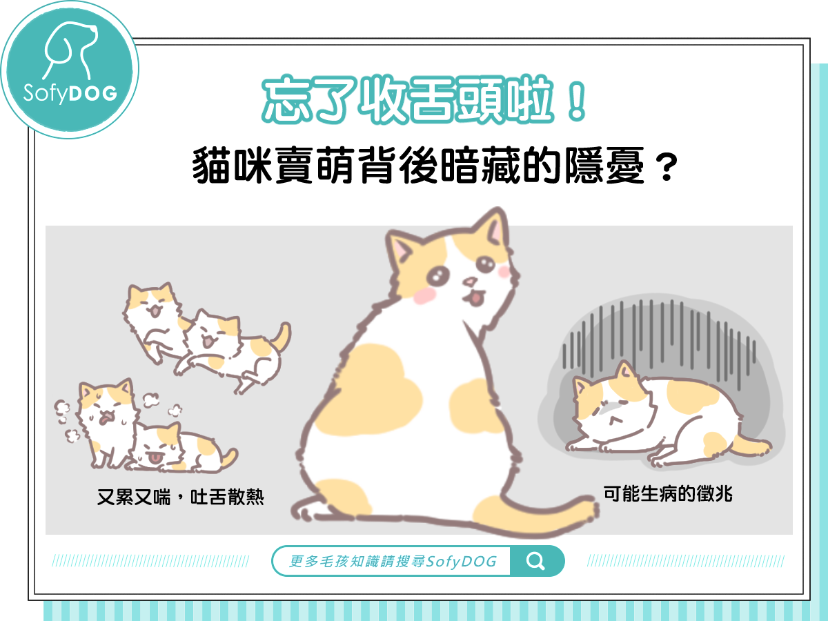 忘了收舌頭啦！貓咪賣萌背後暗藏的隱憂？